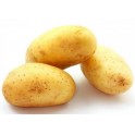 pommes de terre 1 Kg